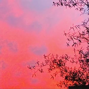 Meet your Posher, Kami